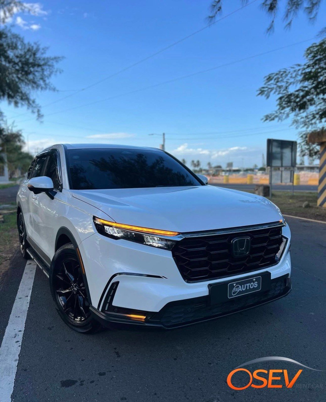 Premium SUV (Honda CR-V or similar)